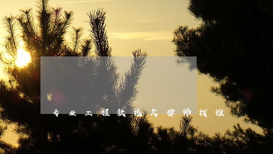 专业工程款拖欠律师找谁 专业工程款拖欠律师找谁