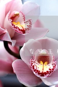 专业工程类律师在线询问 专业工程类律师在线询问