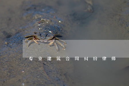 专业建筑合同纠纷律师 专业建筑合同纠纷律师