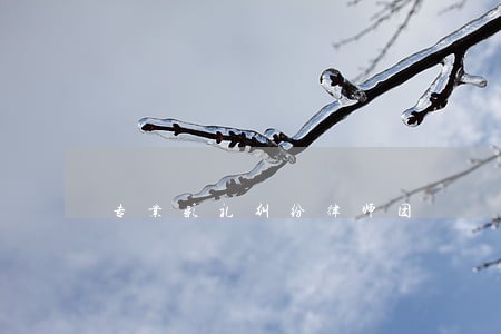 专业彩礼纠纷律师团 专业彩礼纠纷律师团