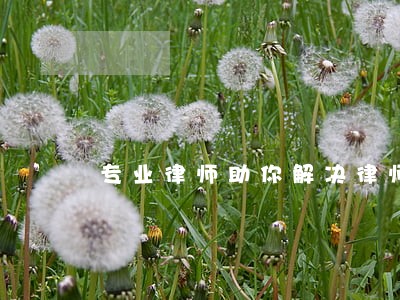 专业律师助你解决律师问题