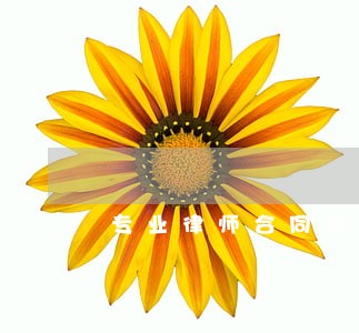 专业律师合同纠纷律师事务所 专业律师合同纠纷律师事务所