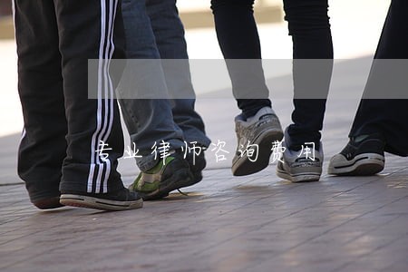 专业律师咨询费用 专业律师咨询费用