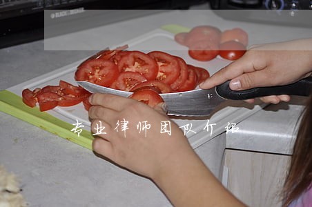 专业律师团队介绍 专业律师团队介绍