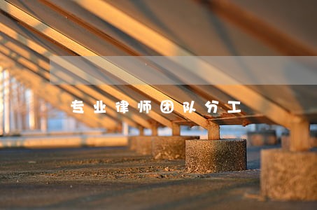 专业律师团队分工 专业律师团队分工