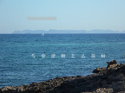 专业律师怎么找呀 专业律师怎么找呀