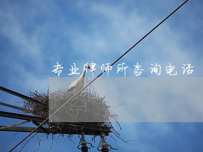 专业律师所咨询电话 专业律师所咨询电话