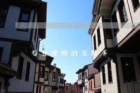 专业律师的支持下 专业律师的支持下