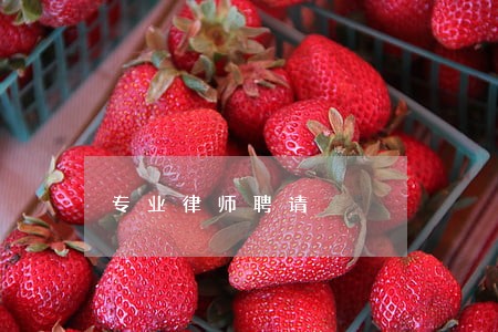 专业律师聘请 专业律师聘请