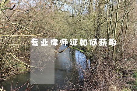 专业律师证如何获取 专业律师证如何获取