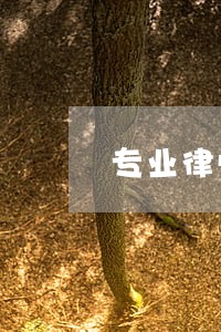 专业律师费多少钱 专业律师费多少钱