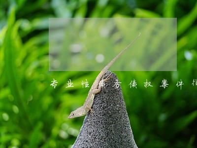 专业性债务债权案件律师概况 专业性债务债权案件律师概况