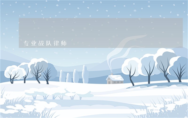 专业战队律师 专业战队律师