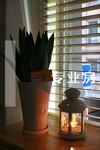 专业房产律师在线 专业房产律师在线