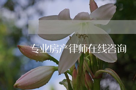 专业房产律师在线咨询 专业房产律师在线咨询