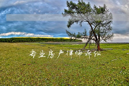 专业房产律师诉讼 专业房产律师诉讼