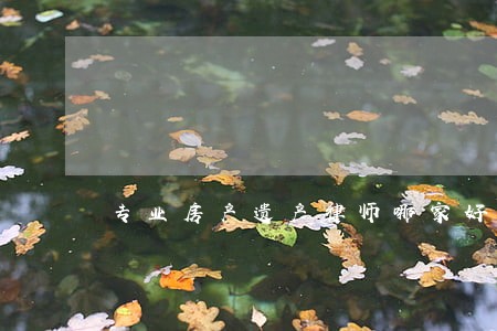 专业房产遗产律师哪家好 专业房产遗产律师哪家好