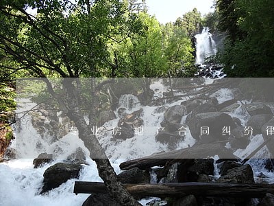 专业房地产合同纠纷律师网 专业房地产合同纠纷律师网