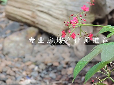 专业房地产律师推荐 专业房地产律师推荐