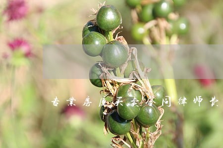 专业房屋买卖合同律师费用咨询 专业房屋买卖合同律师费用咨询