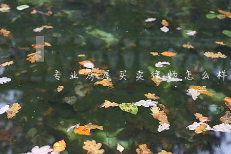 专业房屋买卖律师怎么样来电咨询 专业房屋买卖律师怎么样来电咨询