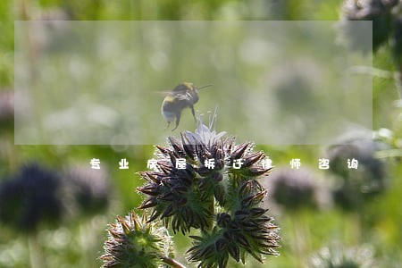 专业房屋拆迁律师咨询 专业房屋拆迁律师咨询