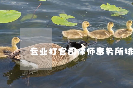 专业打官司律师事务所排名 专业打官司律师事务所排名