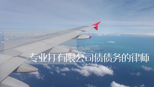 专业打有限公司债债务的律师 专业打有限公司债债务的律师