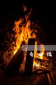 专业技术人员职称表 专业技术人员职称表