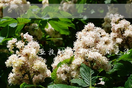 专业投融资律师咨询电话