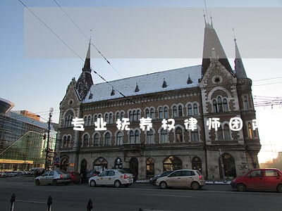 专业抚养权律师团队 专业抚养权律师团队