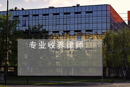 专业收养律师