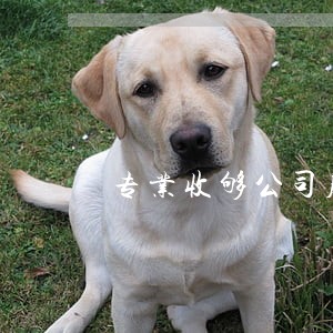 专业收够公司股权律师电话 专业收够公司股权律师电话