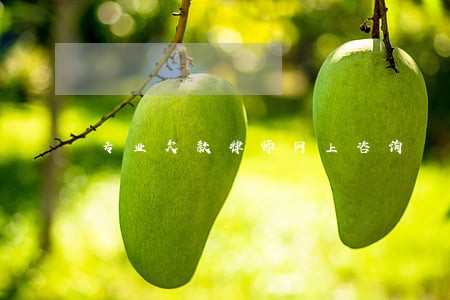 专业欠款律师网上咨询 专业欠款律师网上咨询