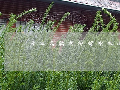 专业欠款纠纷律师地址 专业欠款纠纷律师地址
