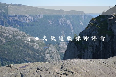 专业欠款追收律师评价 专业欠款追收律师评价