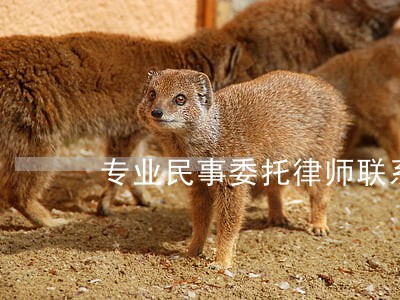 专业民事委托律师联系电话 专业民事委托律师联系电话