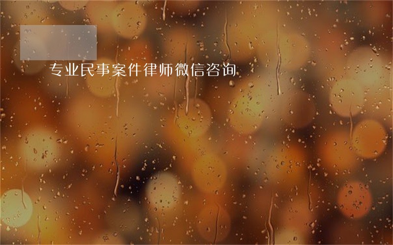 专业民事案件律师微信咨询