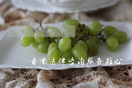 专业法律咨询服务贴心 专业法律咨询服务贴心