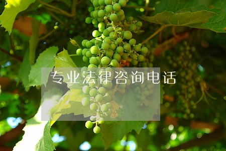 专业法律咨询电话 专业法律咨询电话