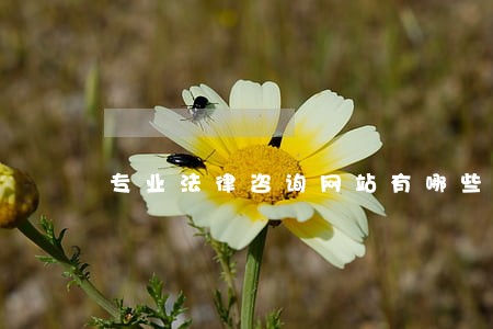 专业法律咨询网站有哪些 专业法律咨询网站有哪些