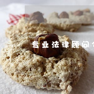 专业法律顾问公司 专业法律顾问公司