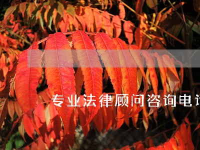 专业法律顾问咨询电话 专业法律顾问咨询电话