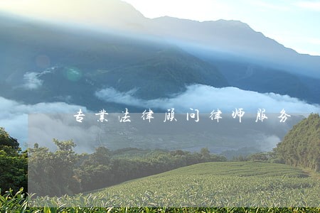 专业法律顾问律师服务 专业法律顾问律师服务