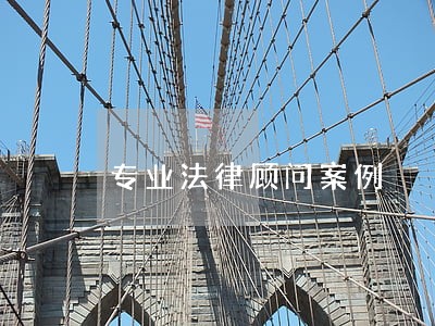 专业法律顾问案例 专业法律顾问案例