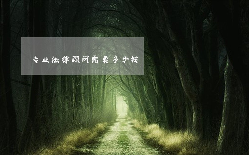 专业法律顾问需要多少钱