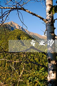 专业涉外债务律师哪里找 专业涉外债务律师哪里找