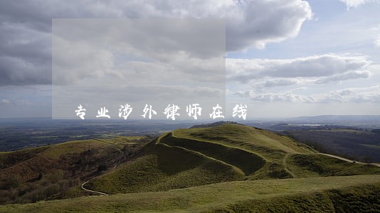 专业涉外律师在线 专业涉外律师在线