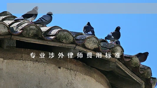 专业涉外律师费用标准 专业涉外律师费用标准
