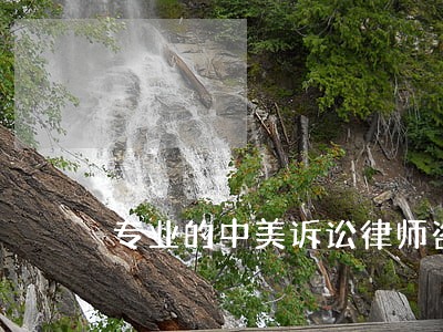 专业的中美诉讼律师咨询电话 专业的中美诉讼律师咨询电话